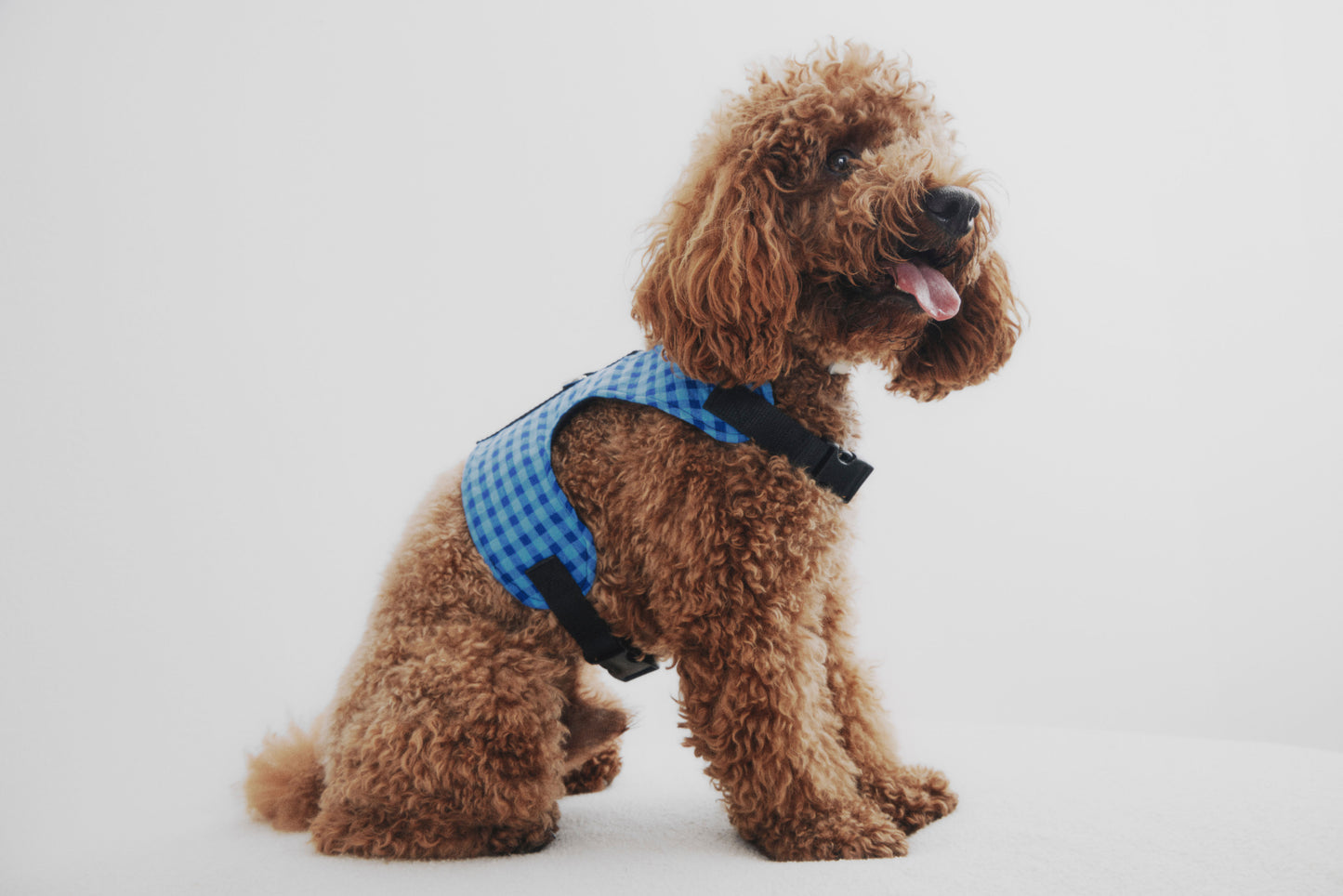 Chaleco Vichy azul