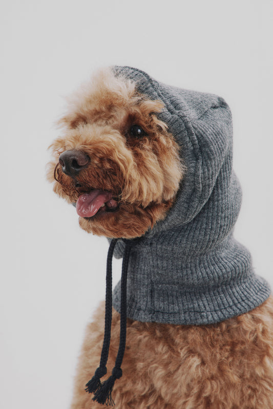 Balaclava gris canalé perro