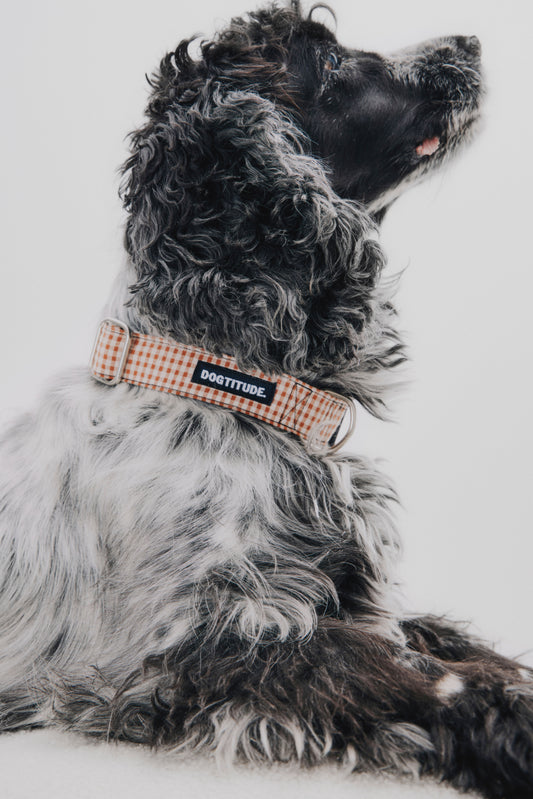 Collarín Vichy beige