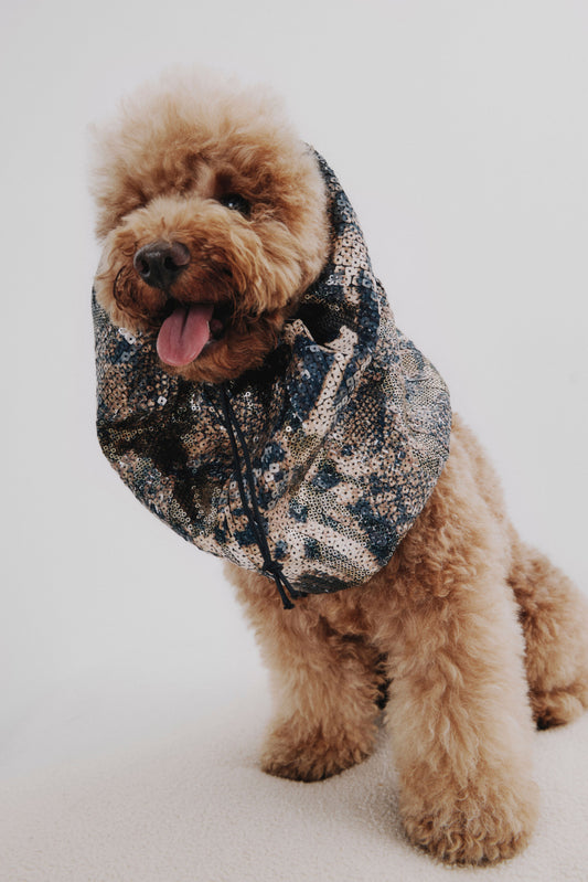 The Full Look · Leopardo