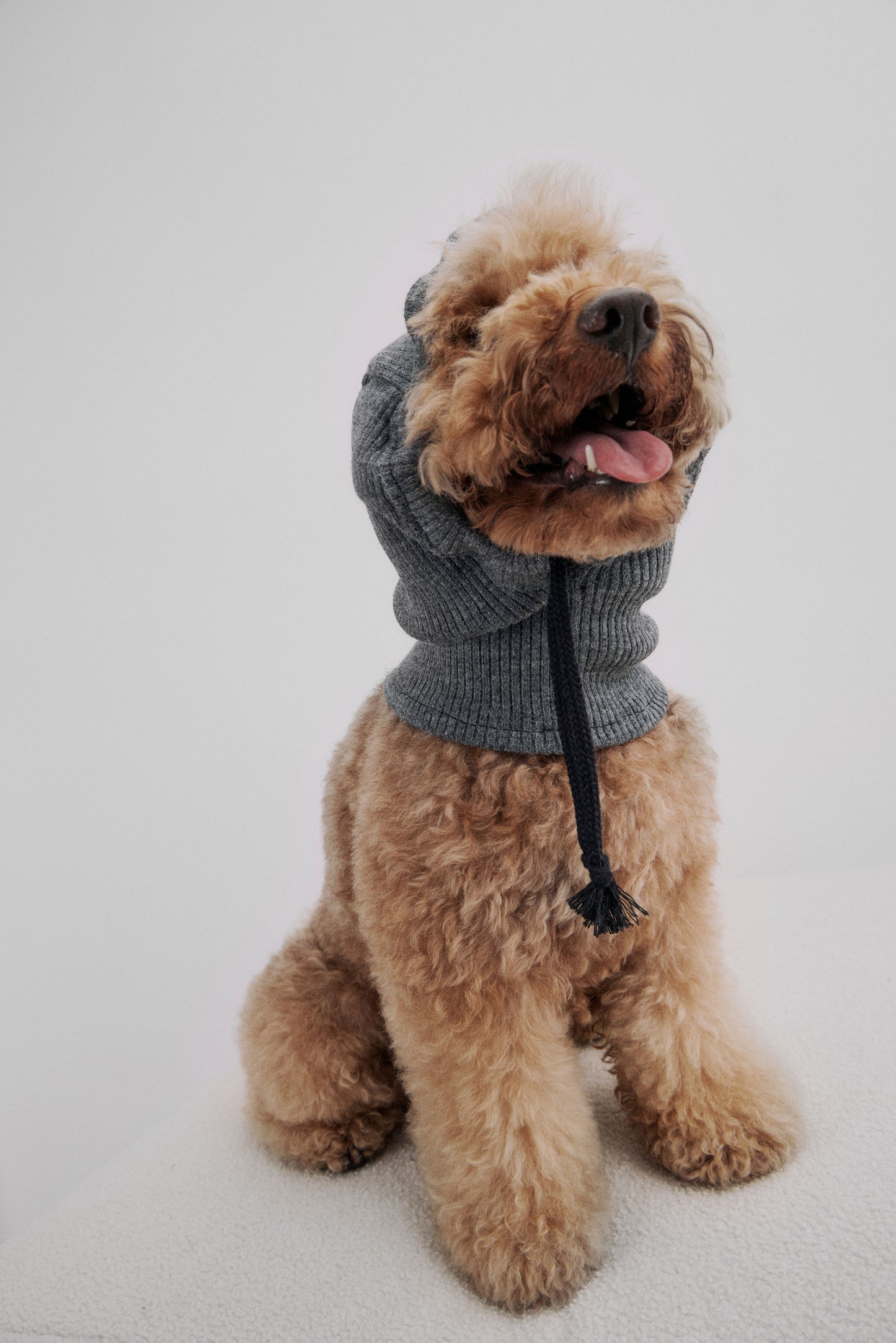 Balaclava gris canalé perro