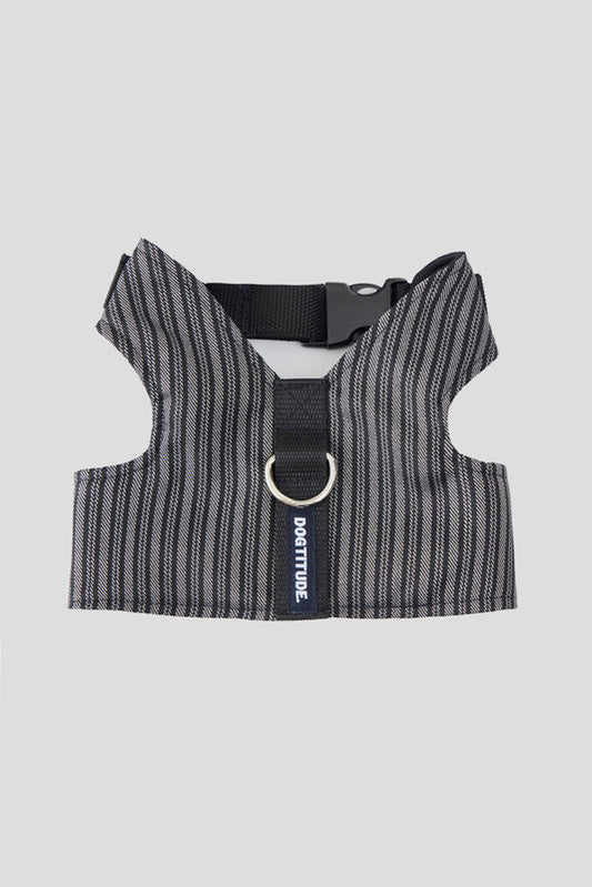 The Full Look · Rayas