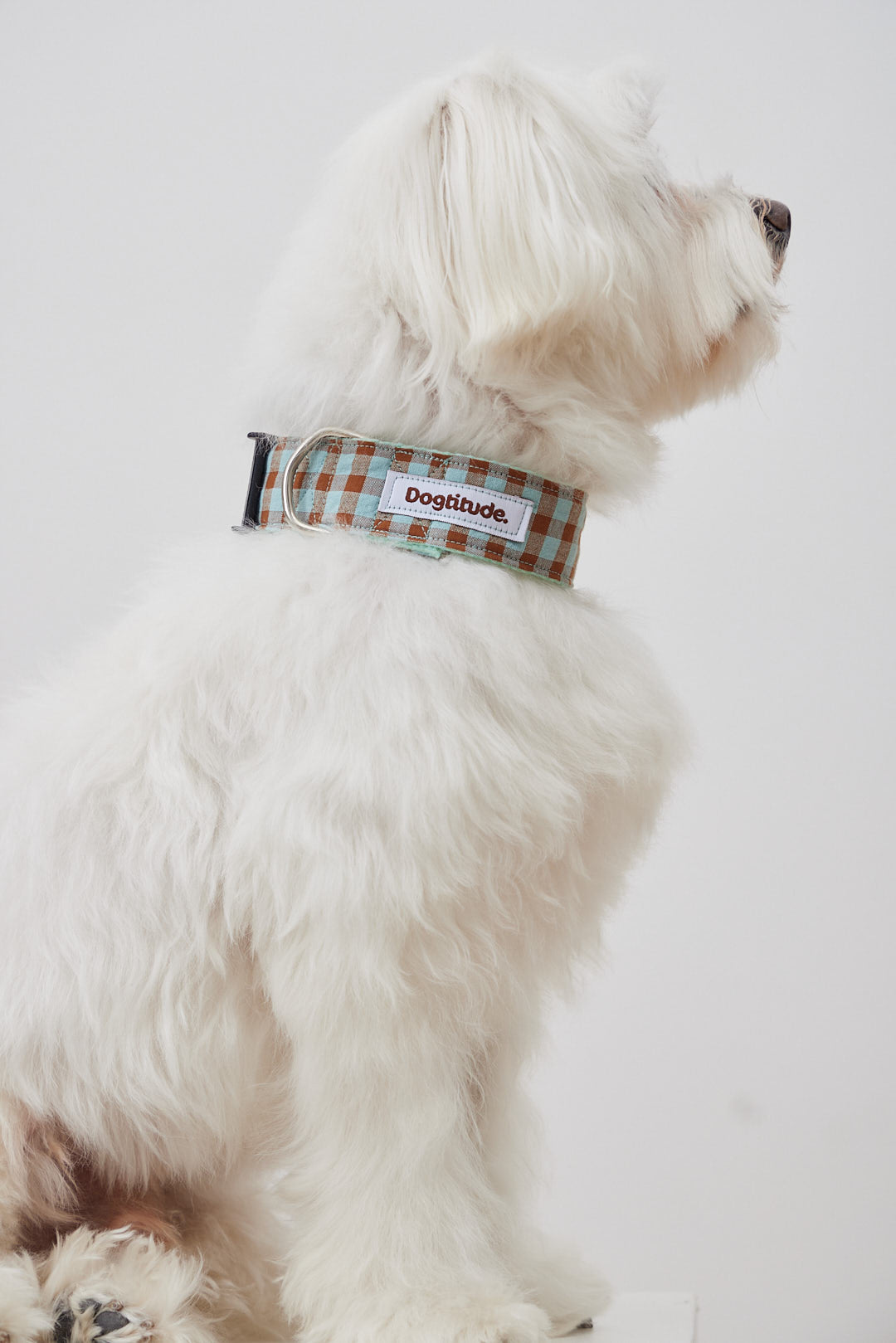 Collarín Vichy Marrón y Azul