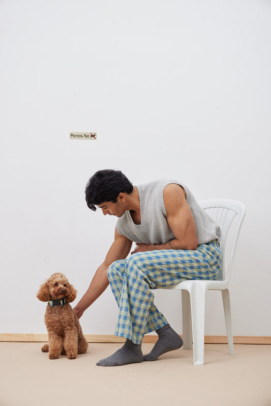 Collarín Vichy Azul y Verde