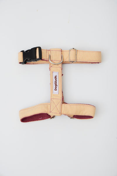 Arnés Minicuadro Amarillo