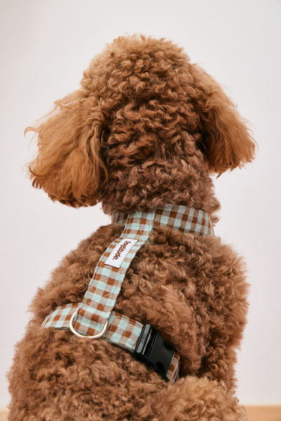 Arnés Vichy Marrón y Azul