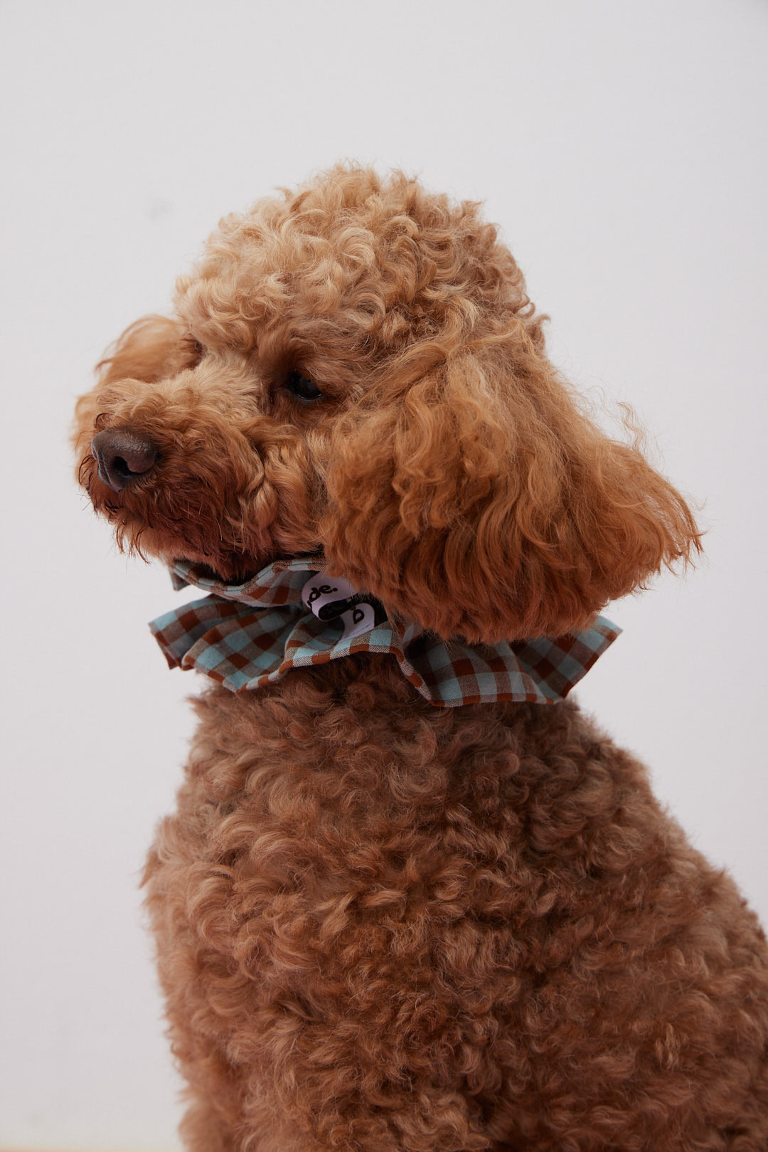 Doglace Vichy Marrón y Azul