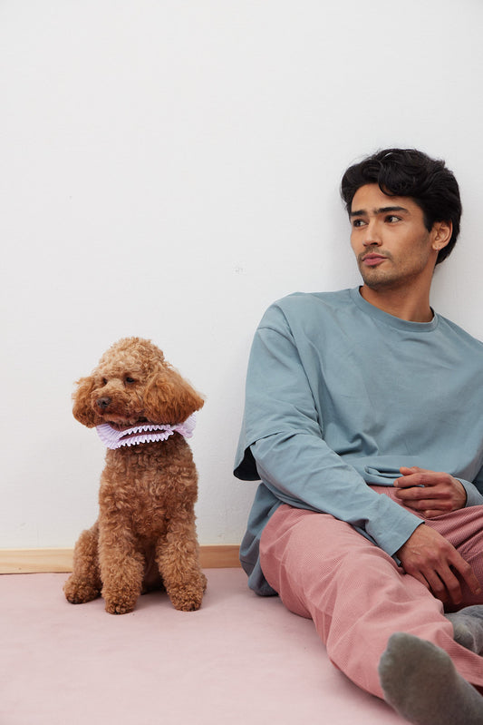 Doglace Minicuadro Morado