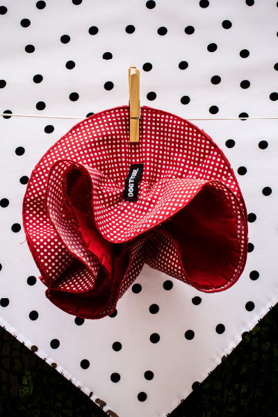 Coletero Rojo Lunares