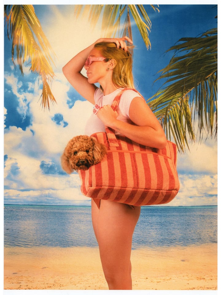 Dog Carrier – Coral Stripe