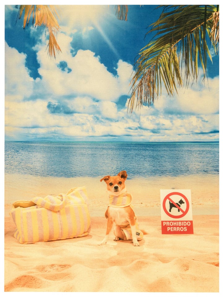 Beach Club Set - Yellow