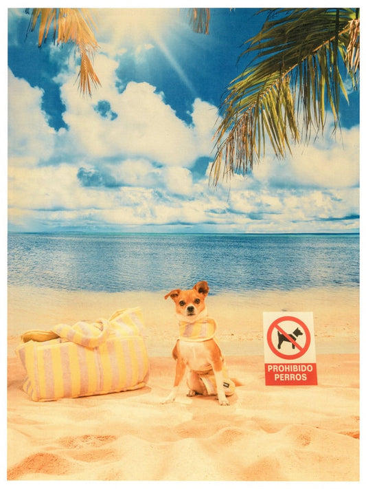 Beach Club Set - Yellow