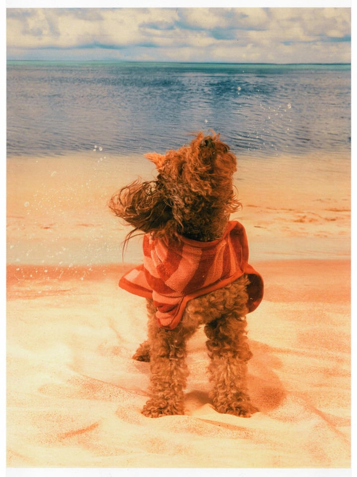 Dog Robe – Coral Stripe