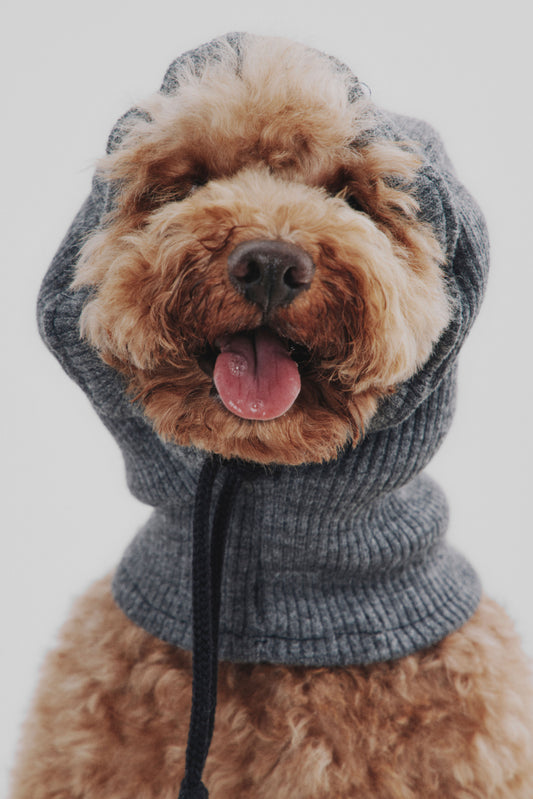 Balaclava gris canalé perro