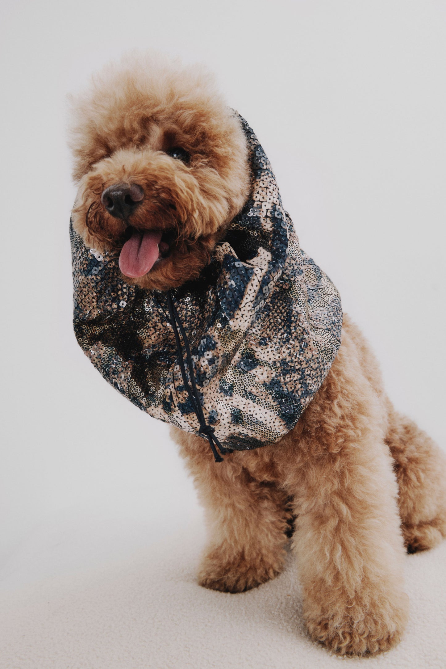 The Full Look · Leopardo