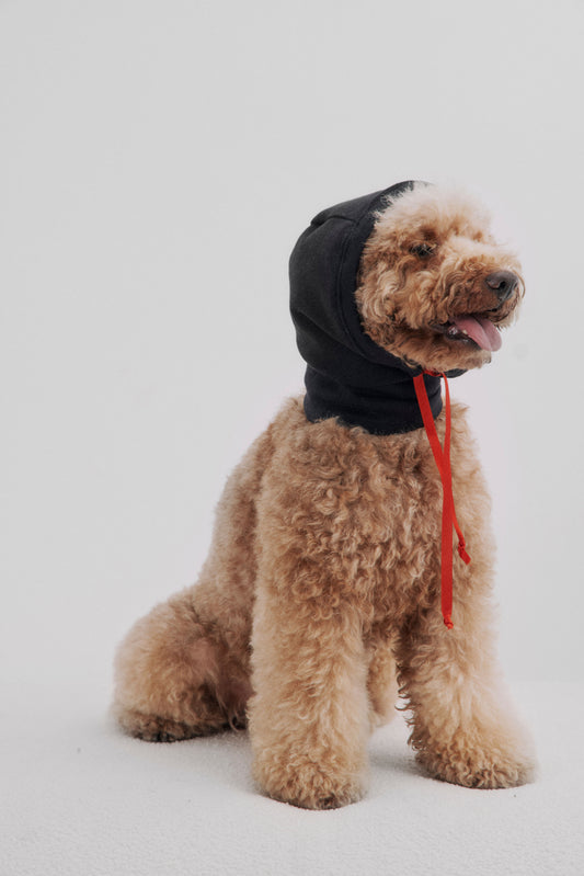 Balaclava negra lazo rojo perro