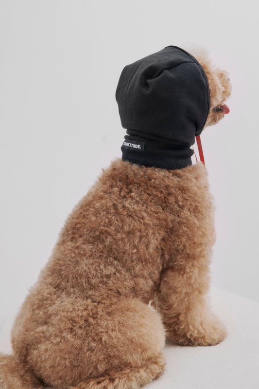 Balaclava negra lazo rojo perro