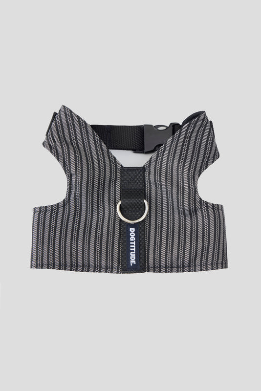 The Full Look · Rayas