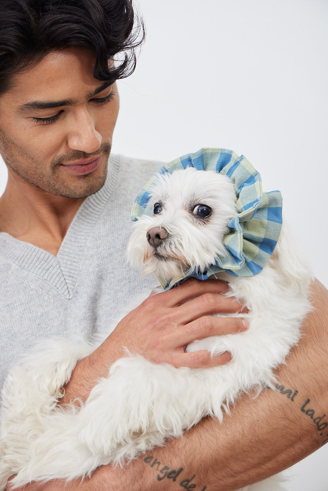 Doglace Vichy Azul y Verde