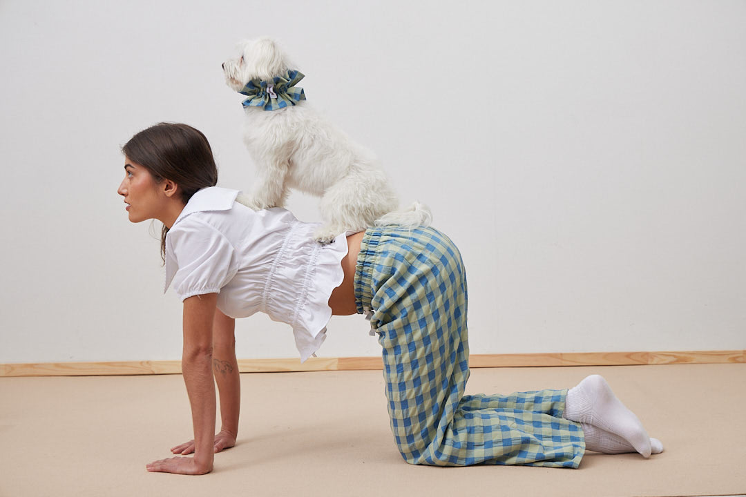 Doglace Vichy Azul y Verde