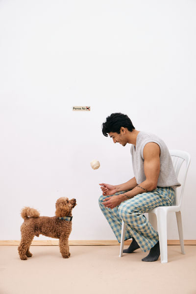 Correa Vichy Azul y Verde