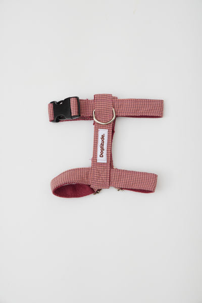 Arnés Minicuadro Morado