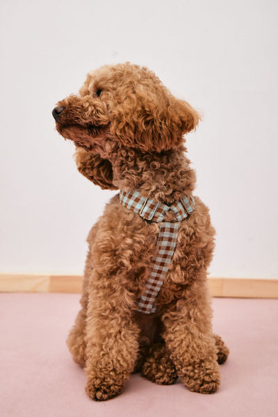 Arnés Vichy Marrón y Azul