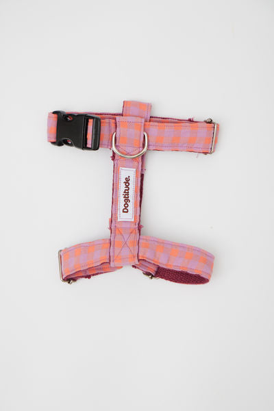 Arnés Cuadros Multicolor Rosa Naranja