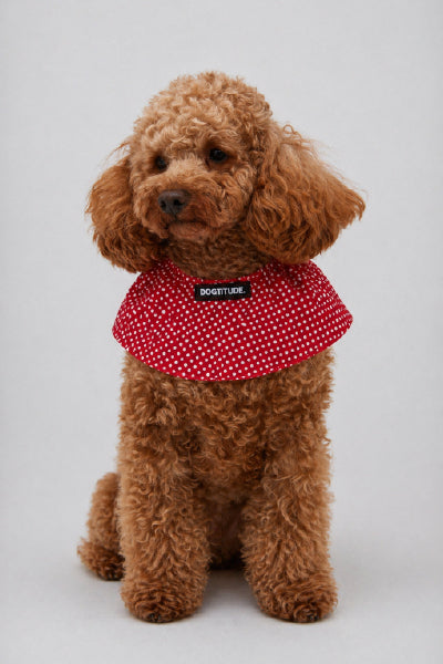 Doglace Rojo Lunares
