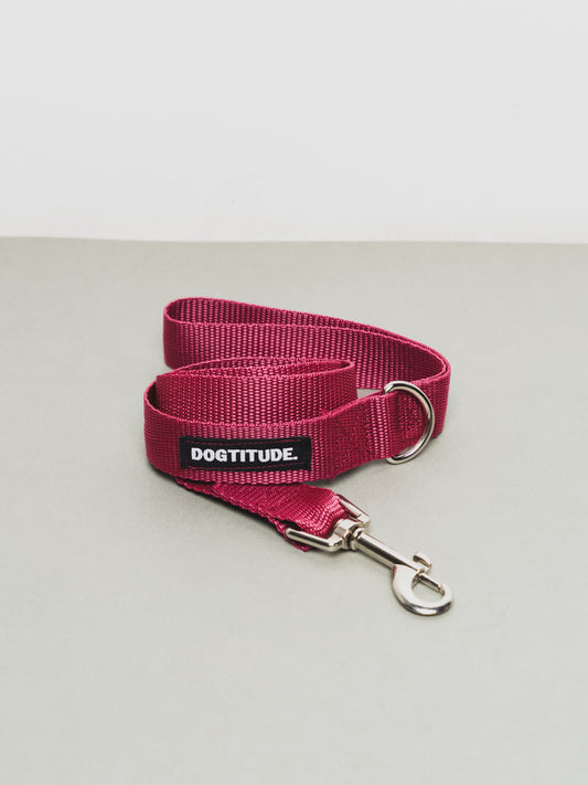 Correa Fallas – Modelo 01