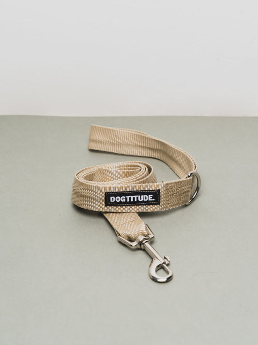 Correa Fallas – Modelo 02