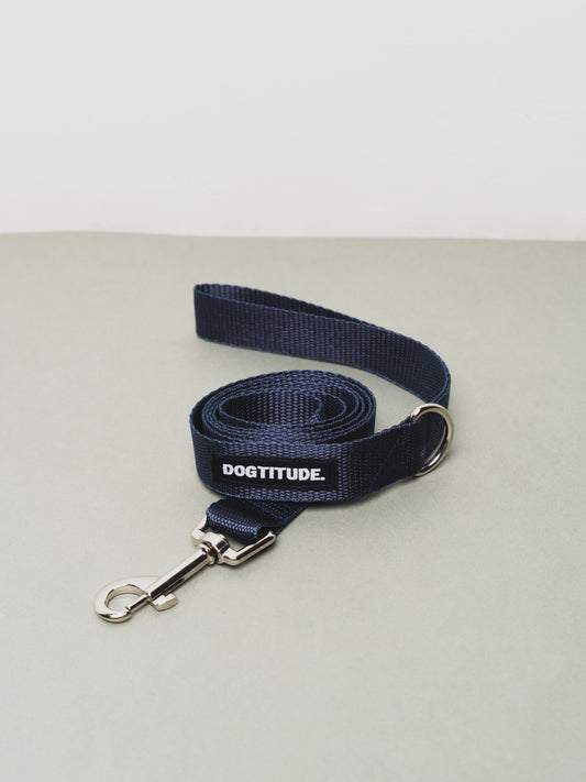 Correa Fallas – Modelo 04